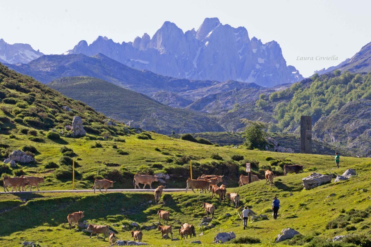 Los Campos Vivienda Vacacional Cangas de Onis Luaran gambar