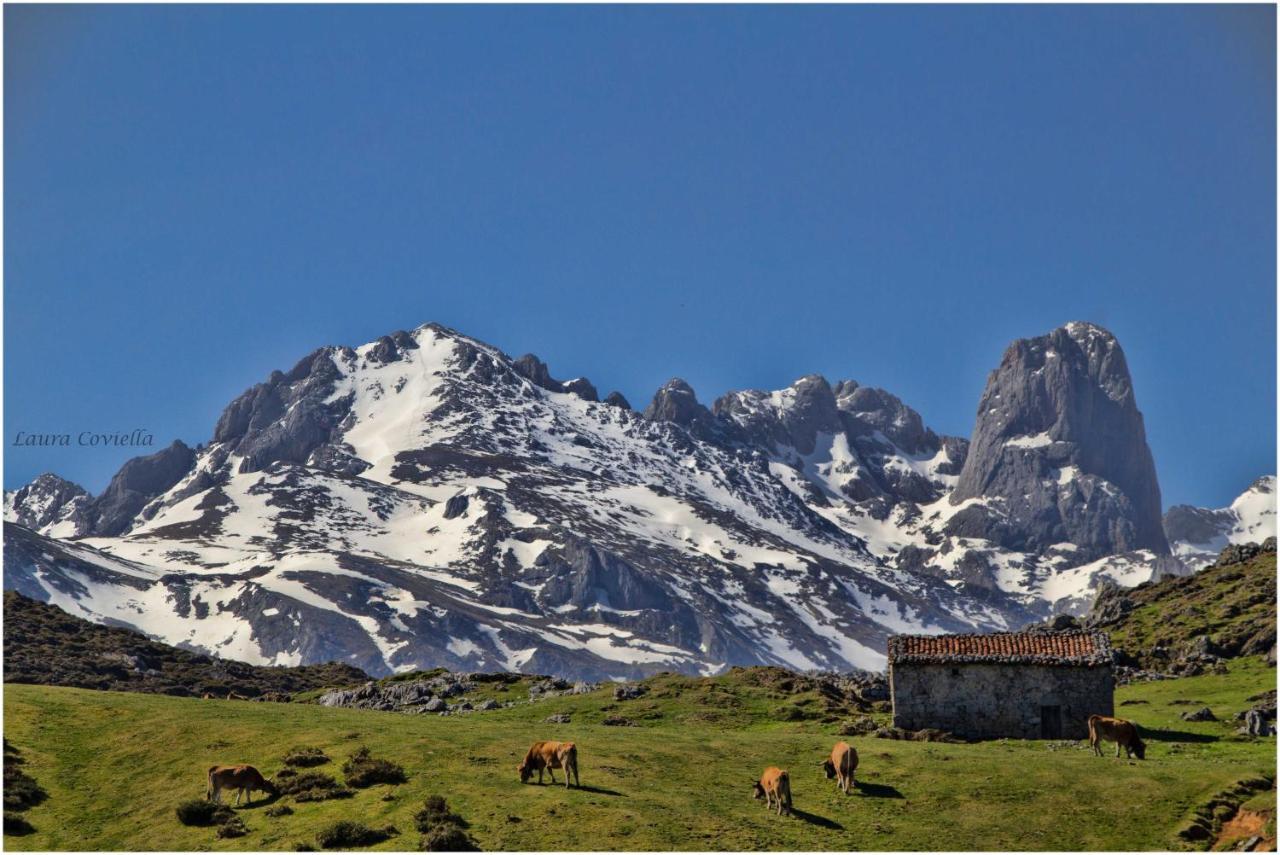 Los Campos Vivienda Vacacional Cangas de Onis Luaran gambar